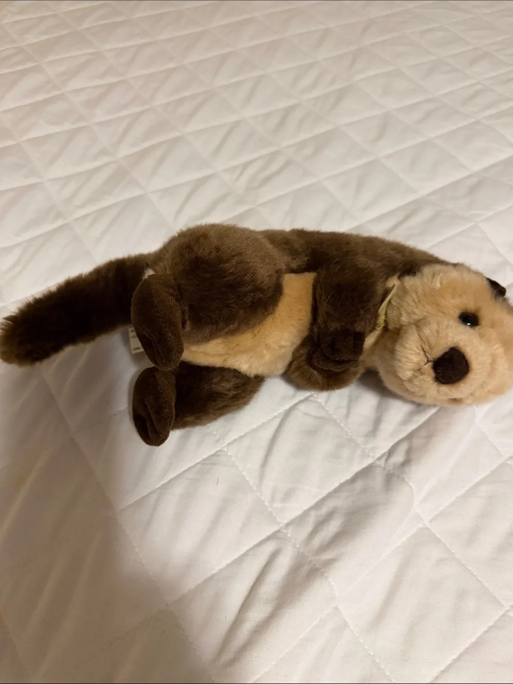 Plush Brown Otter Pet Toy - Soft Brown Small Pet Playmate